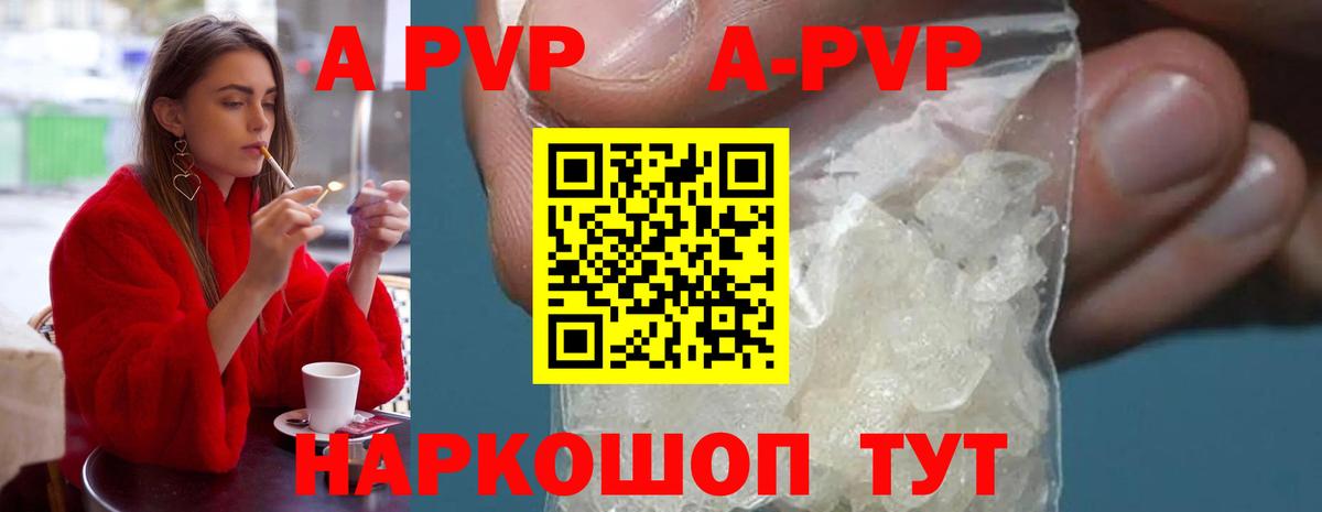 Альфа ПВП СК Россия