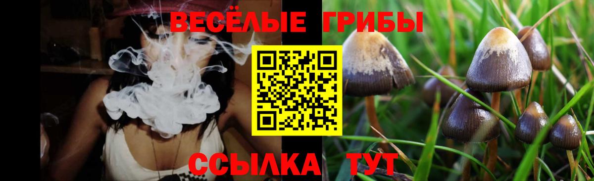Псилоцибиновые грибы ЛСД Россия