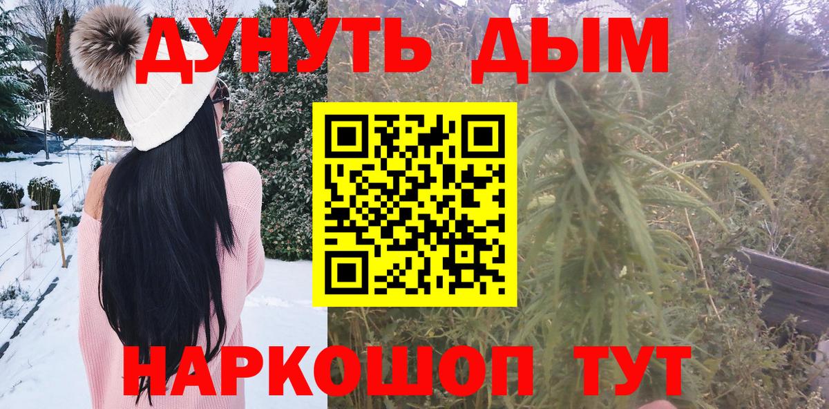 Шишки марихуана сатива Россия